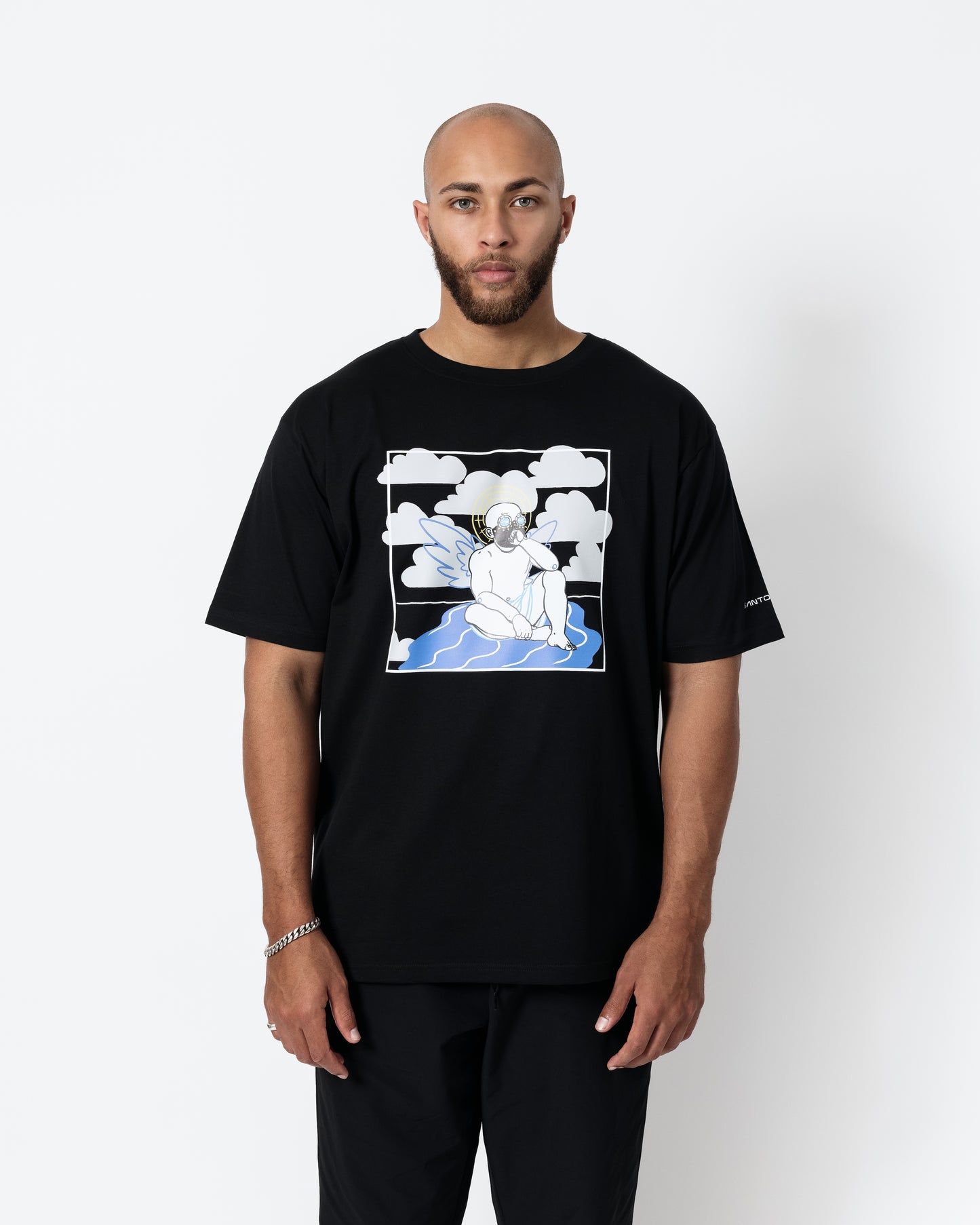 THE SANTO T